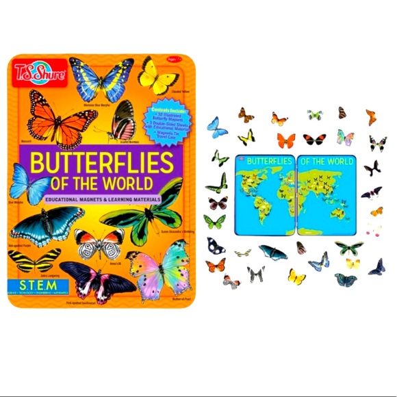 Butterflies of the World Magnets Tin S.T.E.M. - Picture 2 of 7